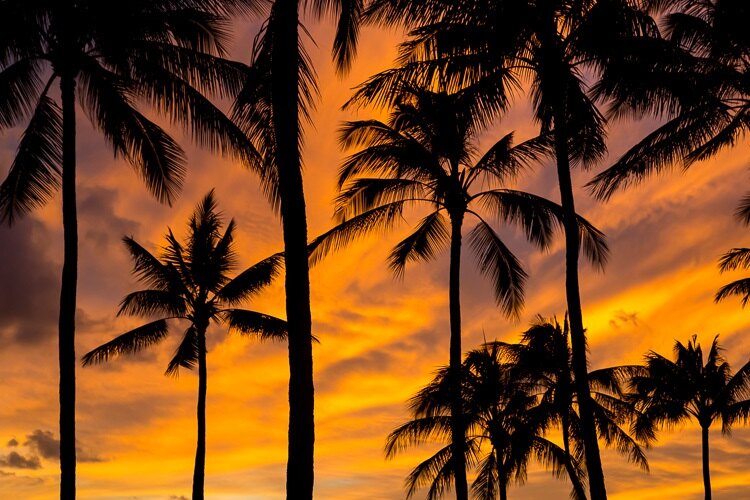 Golden sunset over the ocean at Poipu